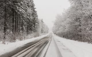 Картинка зима, снег, дорога, лес, пейзаж, природа, холод