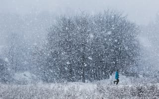 Картинка снег, зима, природа, человек, пейзаж, холод, лес