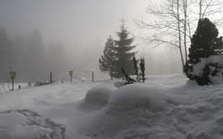 Картинка зима, снег, лес, туман, природа, пейзаж, деревья