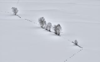 Картинка зима, снег, деревья, пейзаж, природа, холмы, тишина