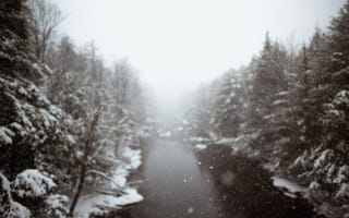 Картинка зима, снег, река, лес, природа, пейзаж, туман