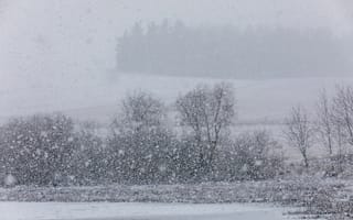 Картинка зима, снег, пейзаж, природа, деревья, холод, мгла