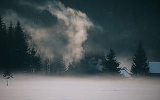 Картинка зима, лес, туман, дым, снег, природа, пейзаж