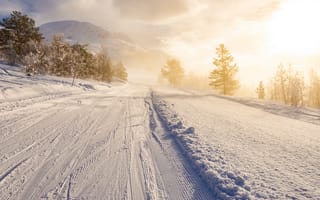 Картинка зима, снег, пейзаж, природа, горный, солнце, лес