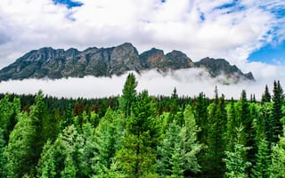 Картинка горы, лес, природа, облака, пейзаж, зелень, вода