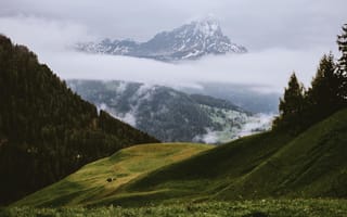 Картинка горы, природа, пейзаж, туман, зеленый, мгла, альпы