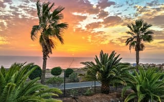 Картинка закат, пальмы, море, природа, пейзаж, отдых, лето