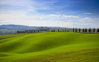 Картинка пейзаж, природа, зелень, холмы, небо, итальянский, сосны