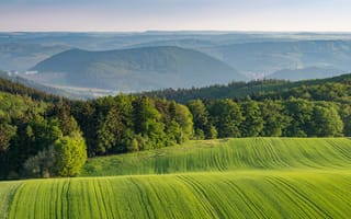 Картинка пейзаж, природа, горы, лес, зелень, поля, вода