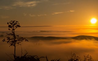 Картинка закат, природа, туман, пейзаж, горы, дерево, мир