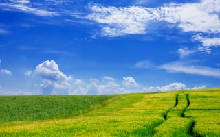 Картинка пейзаж, небо, трава, облака, поля, лето, природа