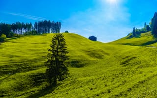 Картинка пейзаж, природа, зелень, горы, небо, деревья, дом, солнце, холмы, лето