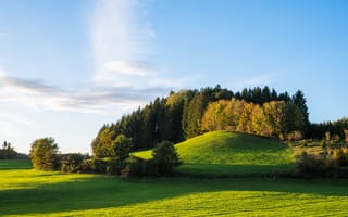 Картинка природа, пейзаж, лес, холм, осень, небо, зелень