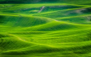 Картинка пейзаж, зелень, природа, холмы, лето, поля, красота