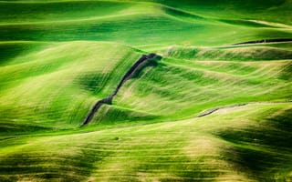 Картинка пейзаж, зелень, холмы, природа, поля, лето, красота