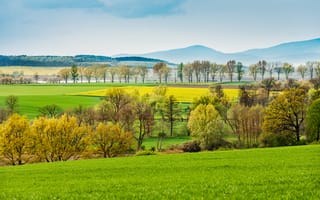 Картинка пейзаж, природа, зелень, горы, деревья, осень, поля