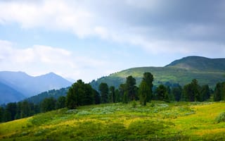 Картинка природа, горы, пейзаж, лес, небо, зелень, цветы, отдых, вдохновение