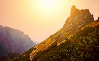 Картинка горы, природа, пейзаж, закат, солнце, лес, поток