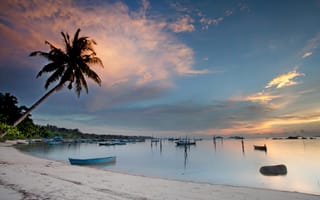 Картинка пляж, закат, пальма, море, лодки, природа, пейзаж