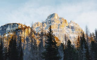Картинка горы, природа, пейзаж, лес, снег, закат, высота