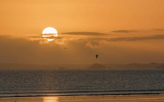 Картинка закат, море, пейзаж, природа, небо, солнце, птицы