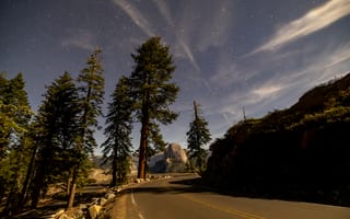 Картинка ночное небо, звезды, деревья, дорога, пейзаж, природа, горы