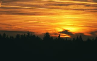 Картинка закат, небо, природа, лес, облака, солнце, пейзаж