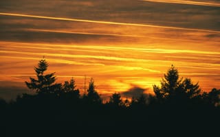 Картинка закат, природа, деревья, небо, пейзаж, освещение, красота