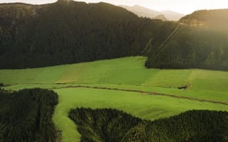 Картинка природа, горы, пейзаж, зелень, лес, долина, солнце