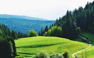 Картинка природа, пейзаж, лес, зелень, горы, холмы, дорога