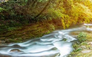 Картинка река, природа, пейзаж, осень, водопад, деревья, мягкий свет