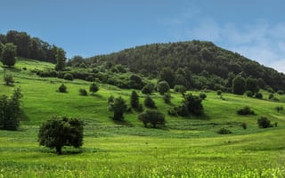 Картинка природа, пейзаж, зелень, горы, деревья, небо, лето