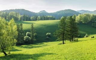 Картинка природа, пейзаж, зелень, горы, деревья, лето, солнце