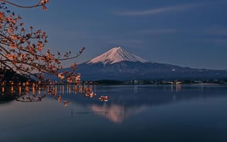 Картинка Фудзияма, японская природа, горы, озеро, цветы, закат, пейзаж, сакура, спокойствие, отражение