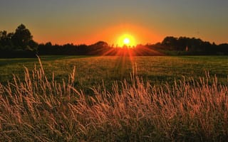 Картинка закат, природа, пейзаж, трава, солнце, небо, лето