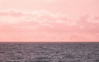 Картинка море, закат, пейзаж, небо, облака, птицы, розовый