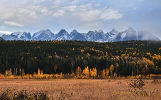 Картинка горы, осень, природа, пейзаж, лес, желтые листья, небо