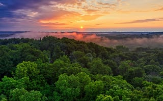 Картинка закат, лес, природа, облака, пейзаж, туман, деревья, небо, красота, мир