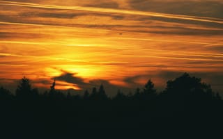Картинка закат, небо, облака, природа, лес, самолет, силиуэт