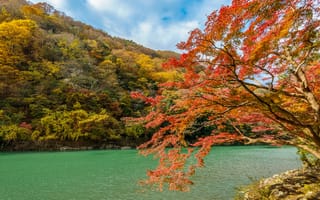 Картинка осень, природа, дерево, река, пейзаж, цвета, горы