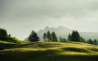 Картинка природа, горы, лес, пейзаж, травы, облака, спокойствие