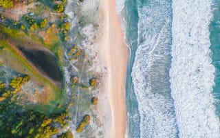 Картинка пляж, море, природа, пейзаж, отдых, песок, деревья