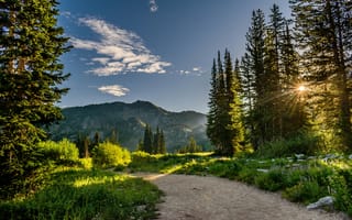 Картинка природа, лес, горы, пейзаж, солнце, путь, небо, зелень, отдых, пейзажный
