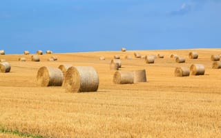 Картинка пейзаж, сено, поле, природа, лето, сельское, холмы