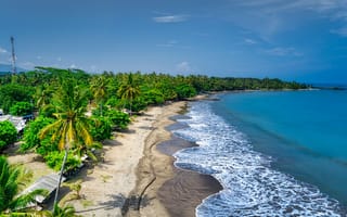 Картинка пляж, море, пальмы, природа, отдых, пейзаж, солнце