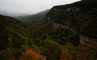 Картинка природа, горы, лес, осень, пейзаж, туман, цвета