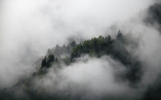 Картинка лес, туман, природа, горы, пейзаж, мгла, зелень