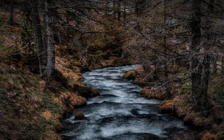 Картинка река, природа, лес, пейзаж, осень, водопад, поток
