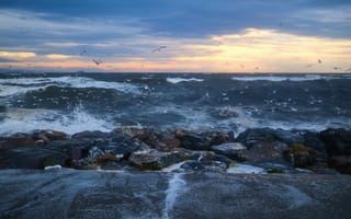 Картинка море, пейзаж, закат, волны, камни, небо, птицы