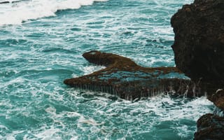 Картинка море, скалы, волны, природа, пейзаж, океан, камни